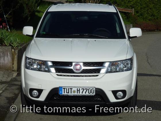 little tommaes seiner