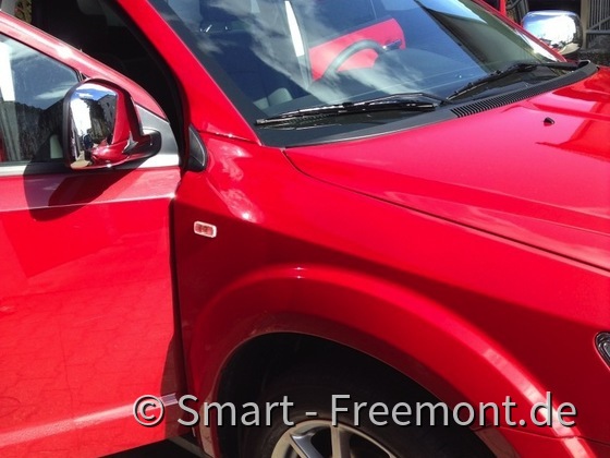 Roter Freemont