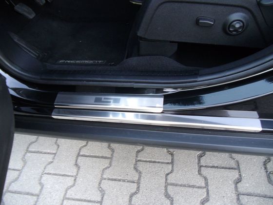 Einstiegsleiste Edelstahl